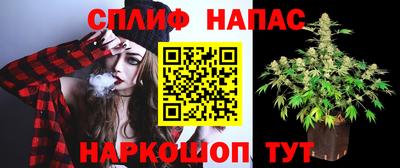 твердый Краснознаменск